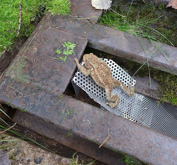 © Land Tirol/Revital Amphibien-Ausstiegshilfe aus Weiderost