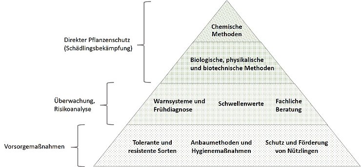© Land Tirol Pflanzenschutzpyramide - Vorsorge, Überwachung und Schädlingsbekämpfung