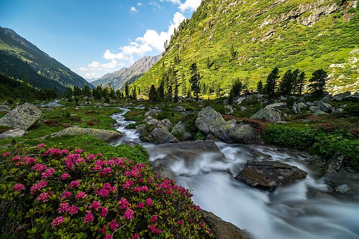 Fluss durchs Dorfertal in Osttirol
