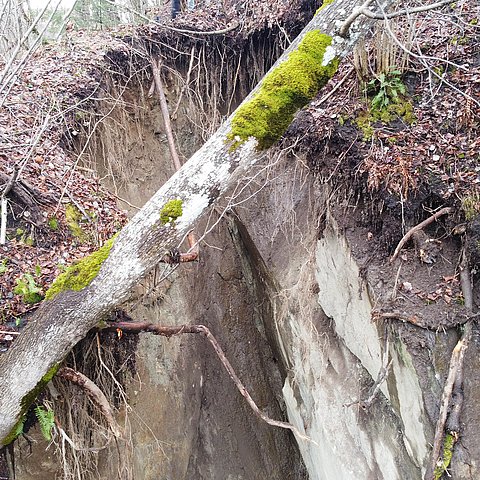 Ausbruchstelle des Felsen
