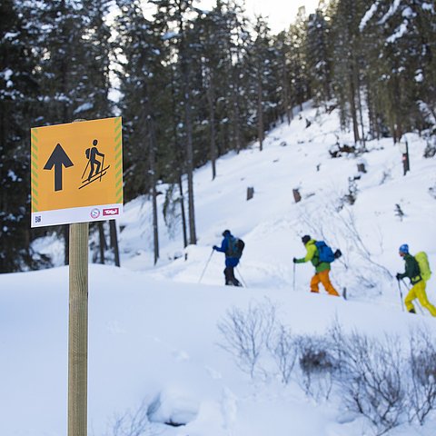 Skitouren- und Freeridelenkung in 22 Tiroler Gebieten