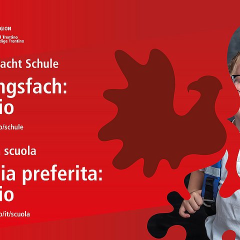 Plakat mit der Überschrift Euregio macht Schule