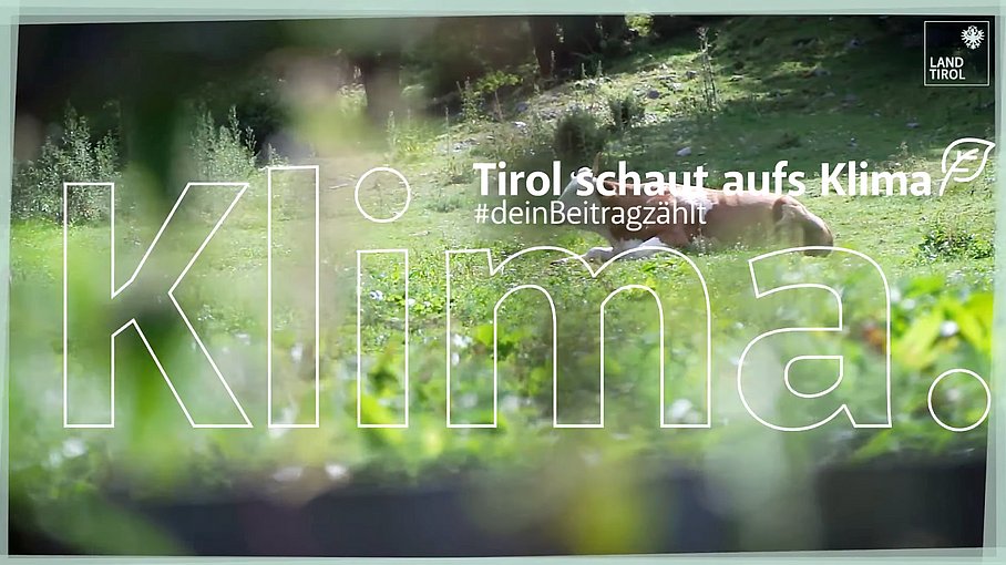 © Land Tirol / Skamen Tirol schaut aufs Klima. | Klimawandelanpassung
