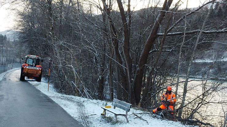 © BBA Imst Mann neben Radweg schneidet Baum mit Motorsäge um