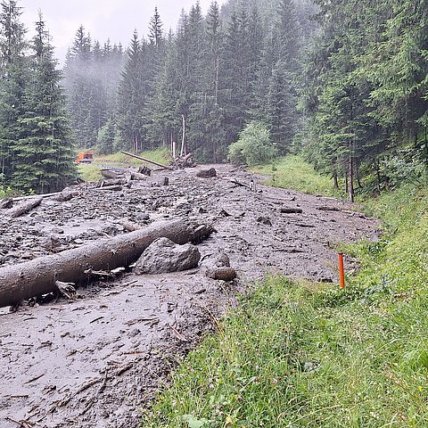 Brauner Schlamm mit Baumstämmen und Steinen liegt auf Straße