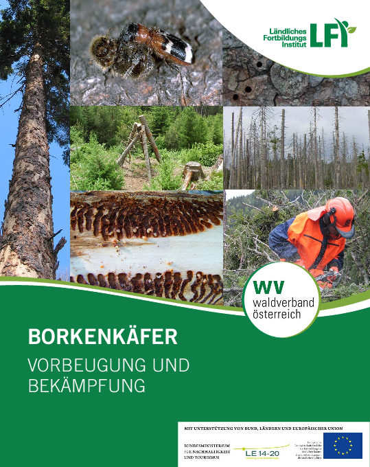 Infobroschüre Borkenkäfer
