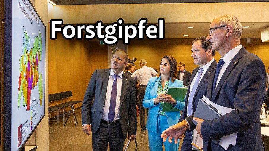 Forstgipfel nach Unwetterschäden.