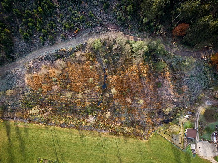 Land Tirol/Christanell