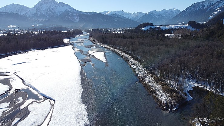 Rodungsarbeiten entlang der Uferverbauung