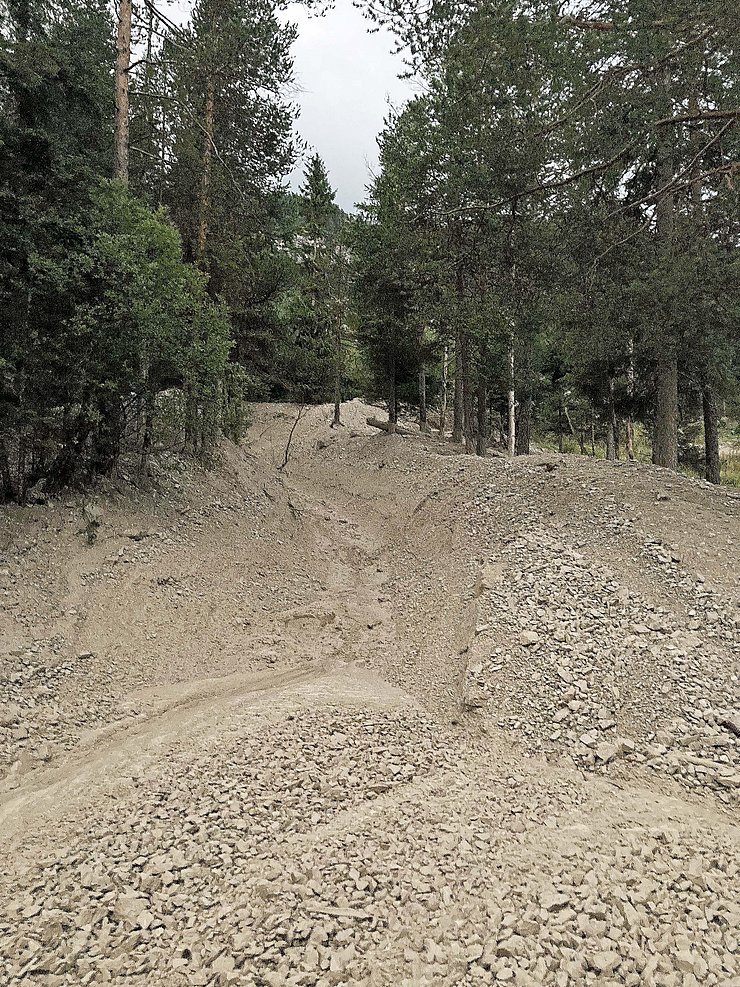 Auf dem Bild sind Bäume, welche von der Mure teilweise verschüttet wurden, zu sehen.