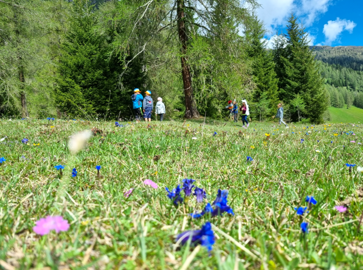 © Natopia Kinder auf einer Wiese