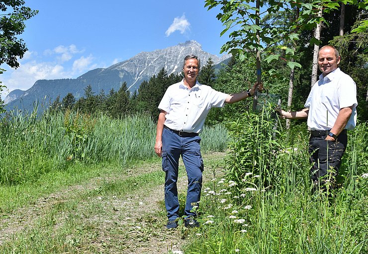 © Land Tirol Landesforstdirektor Josef Fuchs und LHStv Josef Geisler setzen auf eine nachhaltige Waldwirtschaft zum Schutz vor Naturgefahren und im Kampf gegen den Klimawandel.