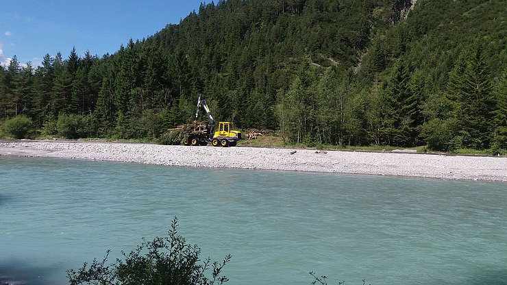 © Land Tirol/Reiter Rodungsarbeiten