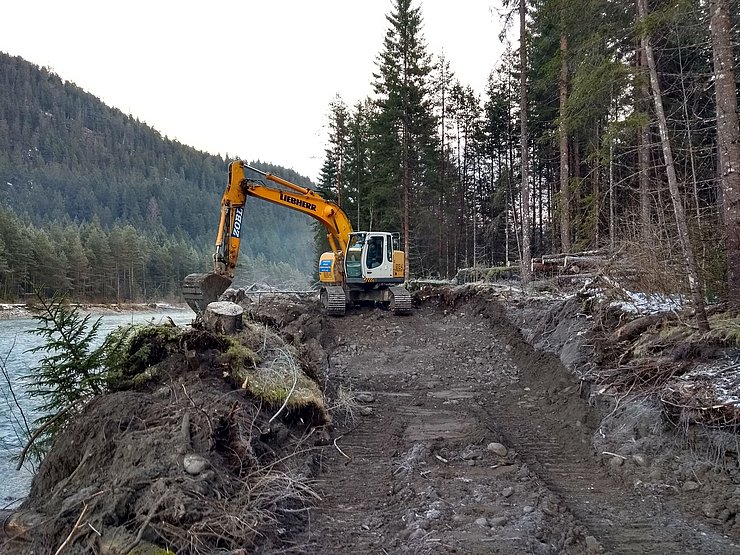 Rückbau einer Buhne