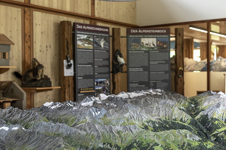 Ausstellungsraum im Naturparkhaus