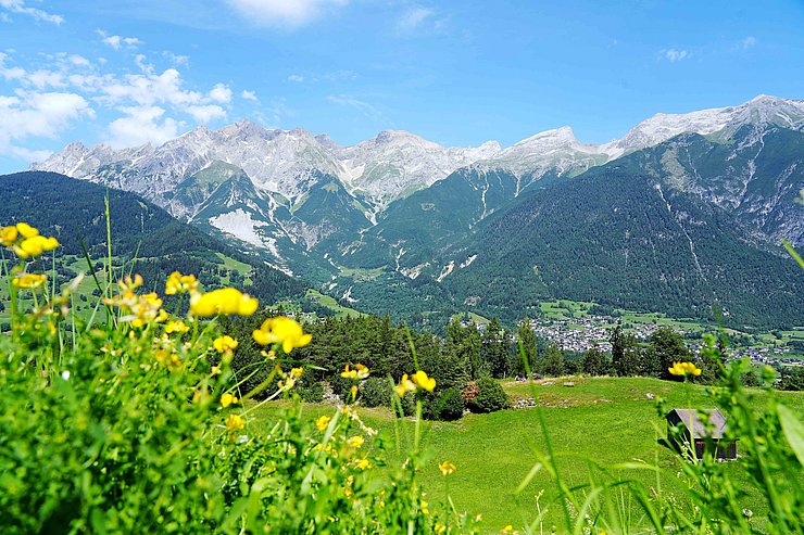 © Land Tirol/Neuner Landschaftsaufnahme: vorne grüne Wiese, dahinter Bergkette