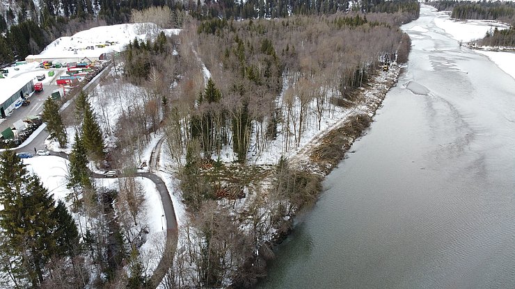 Baubeginn im Dezember 2021 - Rodungsarbeiten entlang der zu entfernenden Längsverbauung