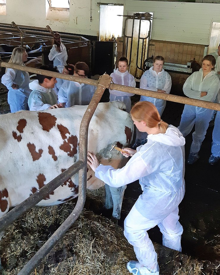 25 Interessierte haben vergangenes Jahr die Summer School VetINNSights absolviert. Auf dem Programm steht auf viel Praxis.