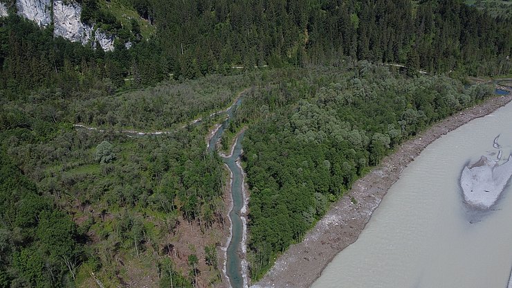 Die trocken gefallene Altarme wurden wieder neu belebt... 