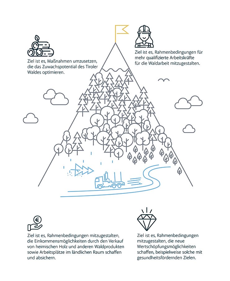 Grafik Bergwald und Sicherheit