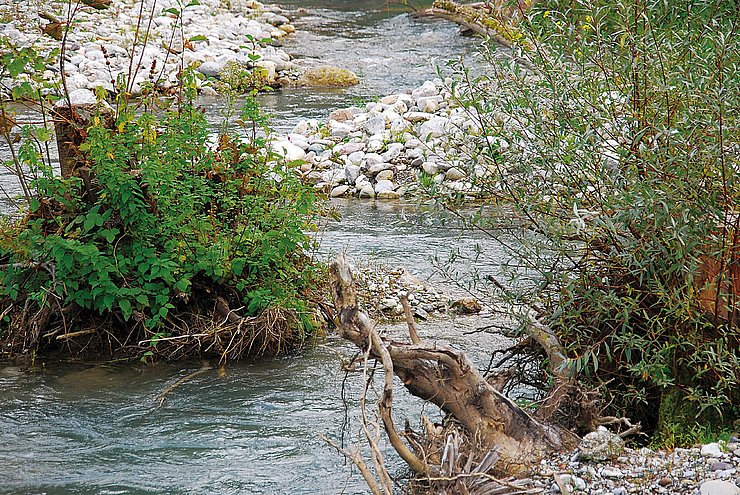 © Land Tirol/Revital Fischwanderhilfe