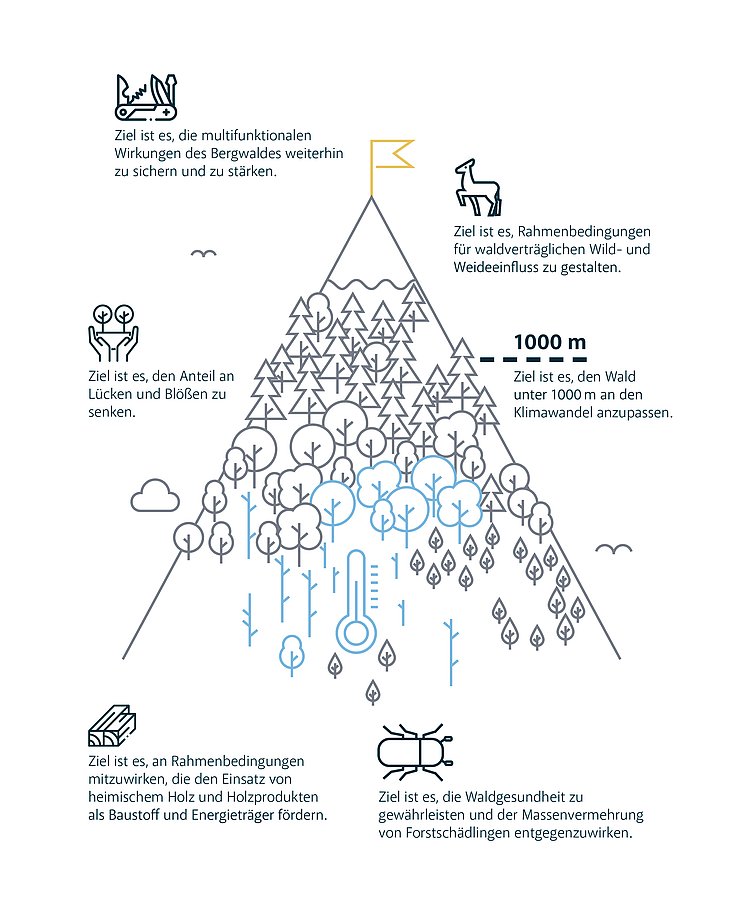 Grafik Bergwald und Klimawandel