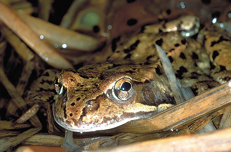 © Land Tirol/Revital Frosch