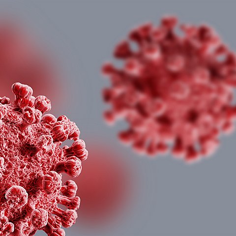 Coronavirus öffentlicher Aufruf, Virus