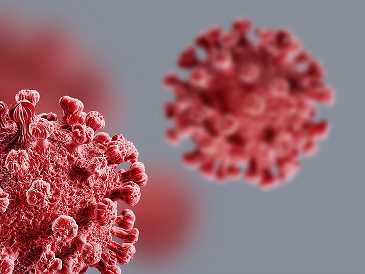 © Shutterstock Coronavirus öffentlicher Aufruf, Virus