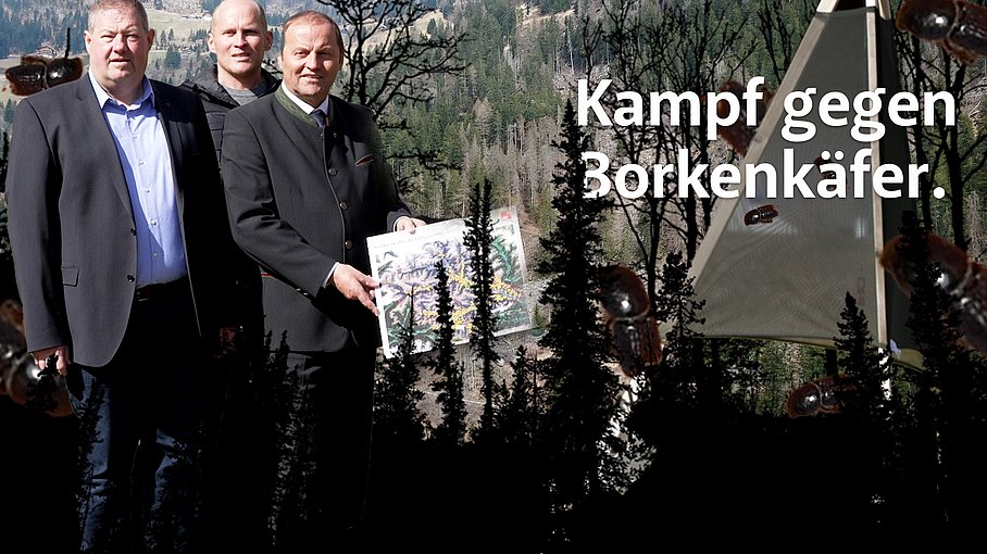 Borkenkäfer in Osttirol