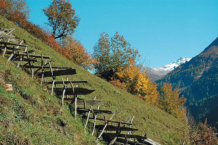 © Land Tirol/Revital Schrägzaun in steilem Gelände