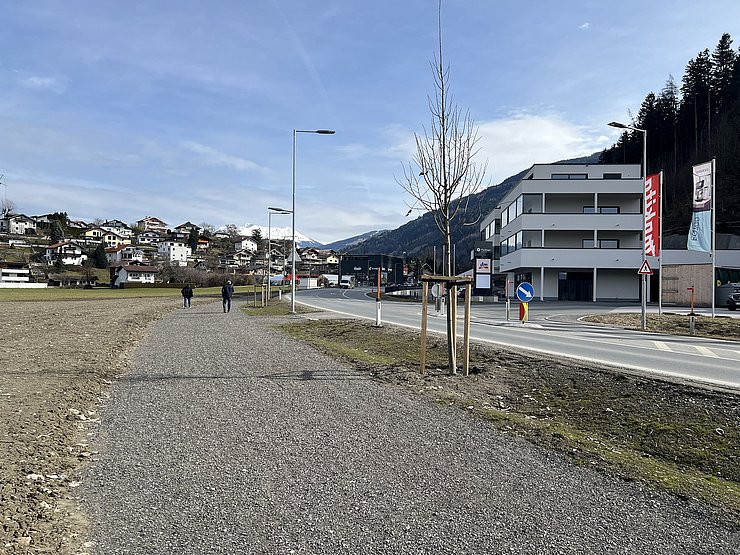© Klimarat Wattens und Volders Ein Gehweg aus Kies neben einer Straße, eine Allee mit jungen Bäumen