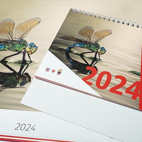 Euregio-Kalender (Wand- und Tischkalender): Cover mit Foto von Libelle