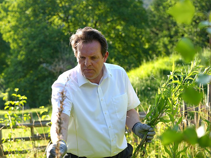 © Land Tirol/Knabl Zumtobel in grüner Wiese