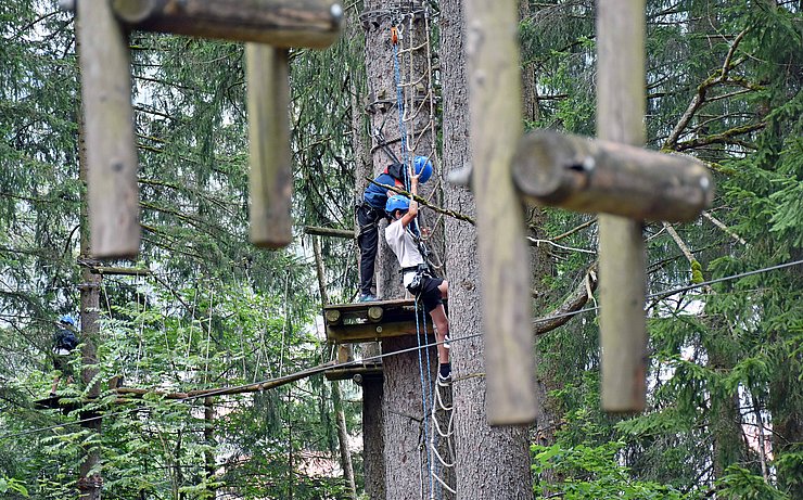 Zwei Kinder klettern im Klettergarten eine Leiter hinauf.