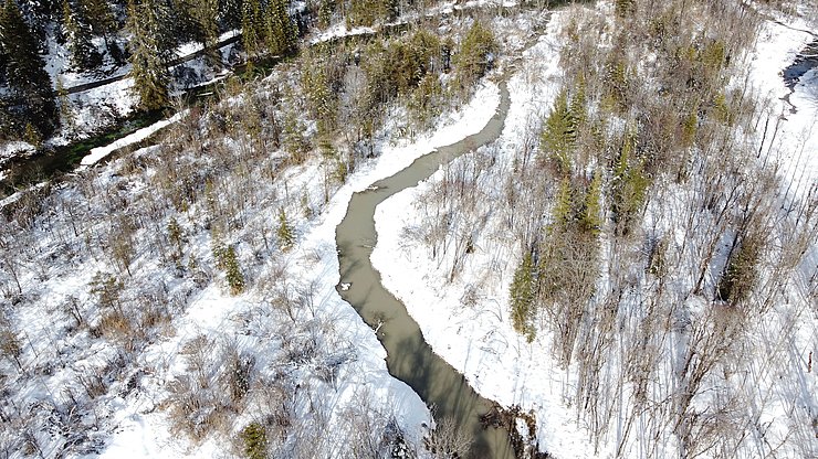 Im vormals trocken gefallenen Altarm fließt jetzt wieder ständig Wasser.