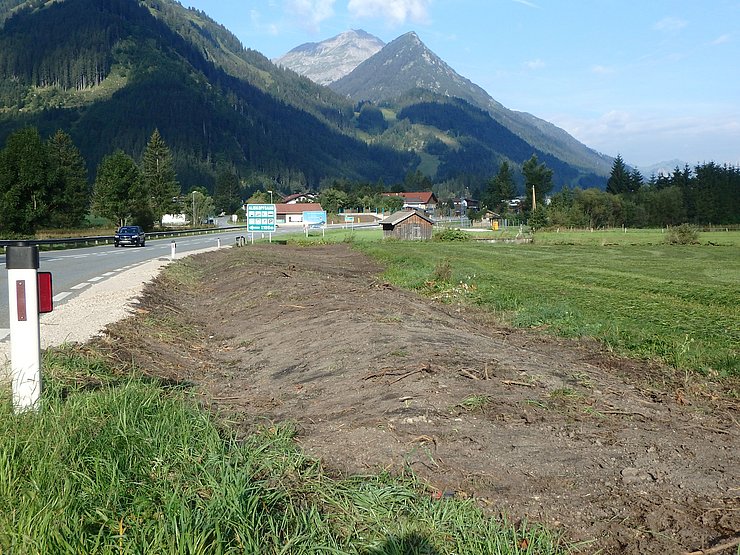 Rekultivierungsarbeiten