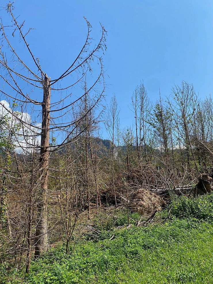 Land Tirol/Die Fotografen