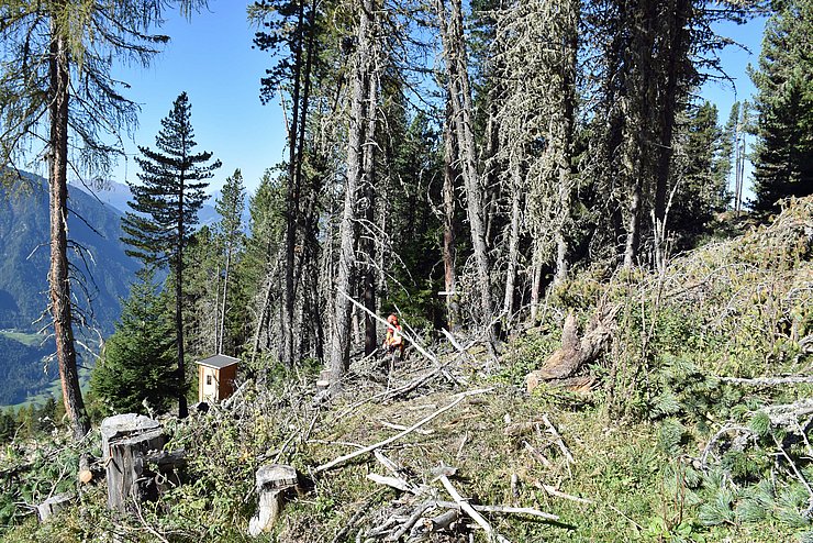 © Land Tirol/Brandhuber