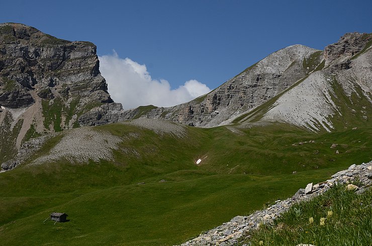 Bergwiese unter einem Berggipfel