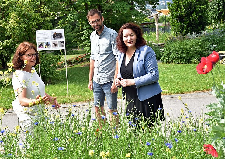 Die "Wildbienen-Ausstellung" im Botanischen Garten gibt Einblicke in das Leben der Wildbienen als eine der wichtigsten Bestäuber von Kultur- und Wildpflanzen.