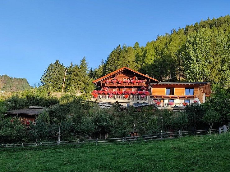 Erbhof Tola, Andrea Hatzer, Virgen