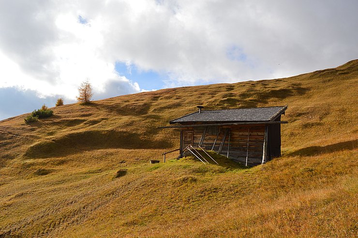 © Land Tirol/Tomaschek Bergmahd Padeile