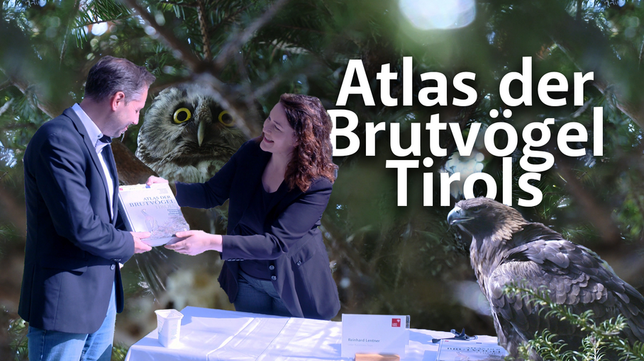 Tiroler Brutvogelatlas