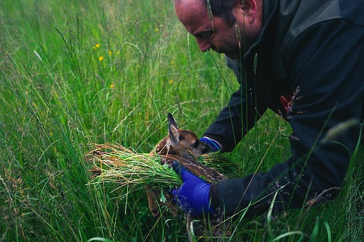 © Land Tirol Rehkitzrettung