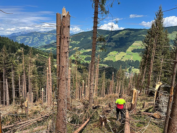 Sturm und Hagel haben unter anderem in der Kelchsau große Waldschäden angerichtet. 