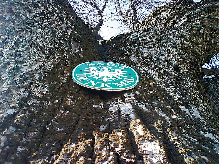 © Land Tirol/Revital Naturdenkmal