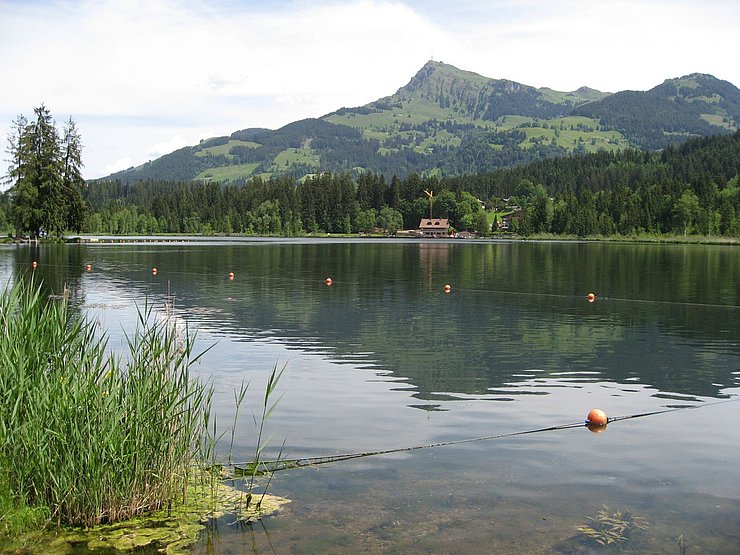 © Land Tirol Badegewässer Schwarzsee, Strandbad