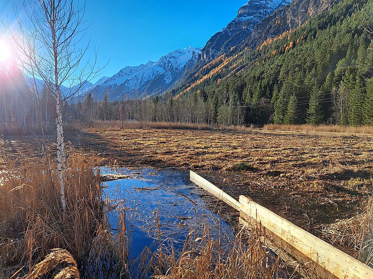 © Land Tirol Holzwand hält Wasser zurück