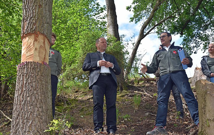 © Land Tirol Lebensraum Baum